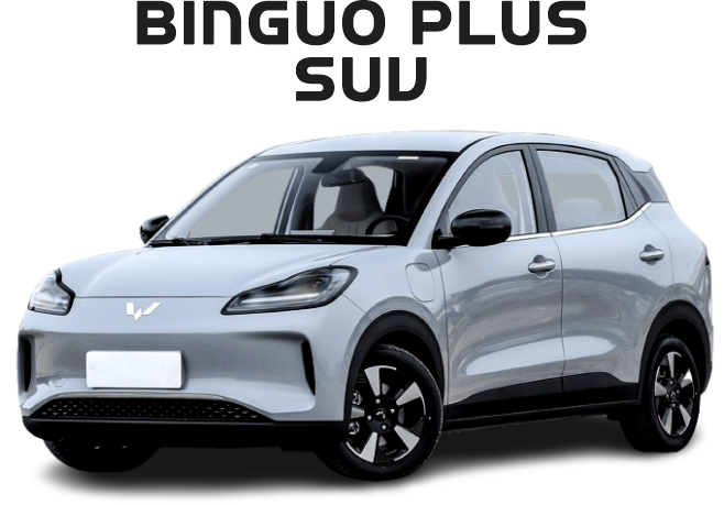 binguo plus suv