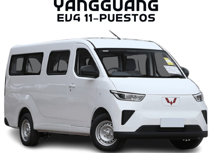 yangguanev4 11P